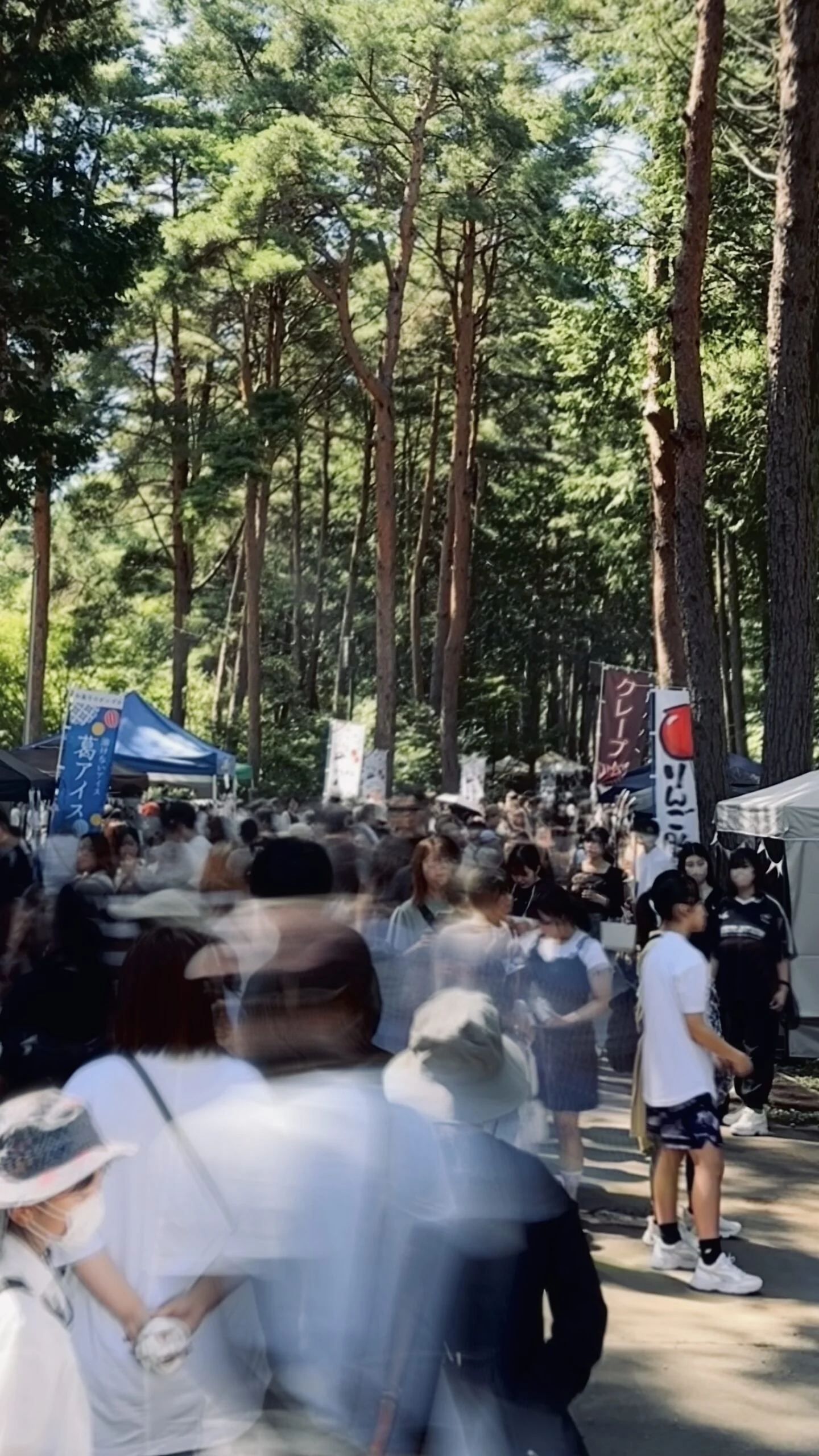 森の会場に集まるブラメシフェス2025の来場者