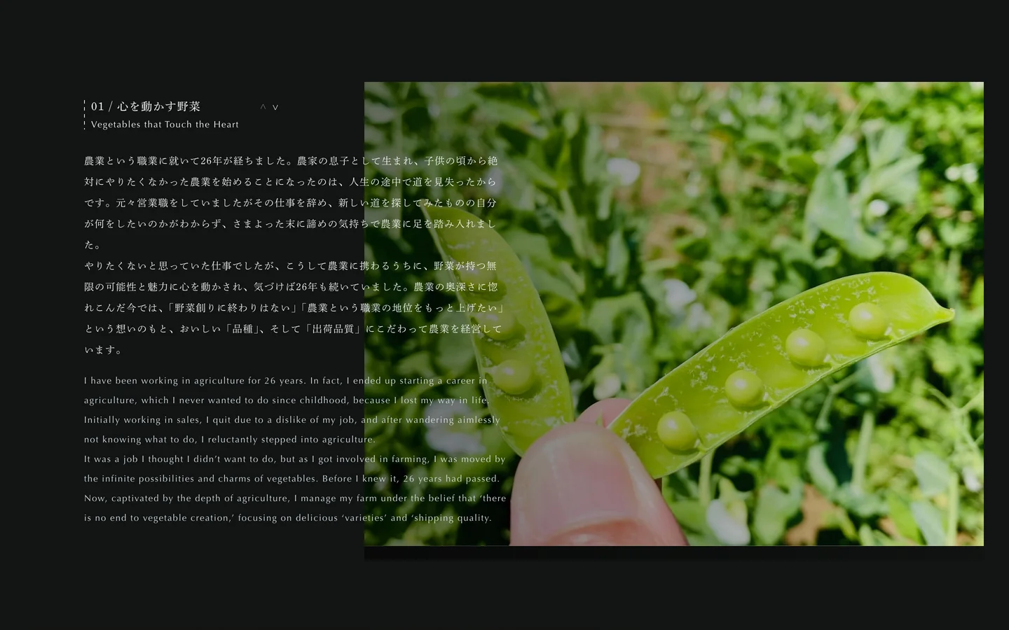 トップページのPC画面で「01 / 心を動かす野菜」の節を表示したところ。左に農業に就いて26年になる経緯を語る日本語と英語の文章、右にさやを開いたえんどう豆を指でつまむ写真
