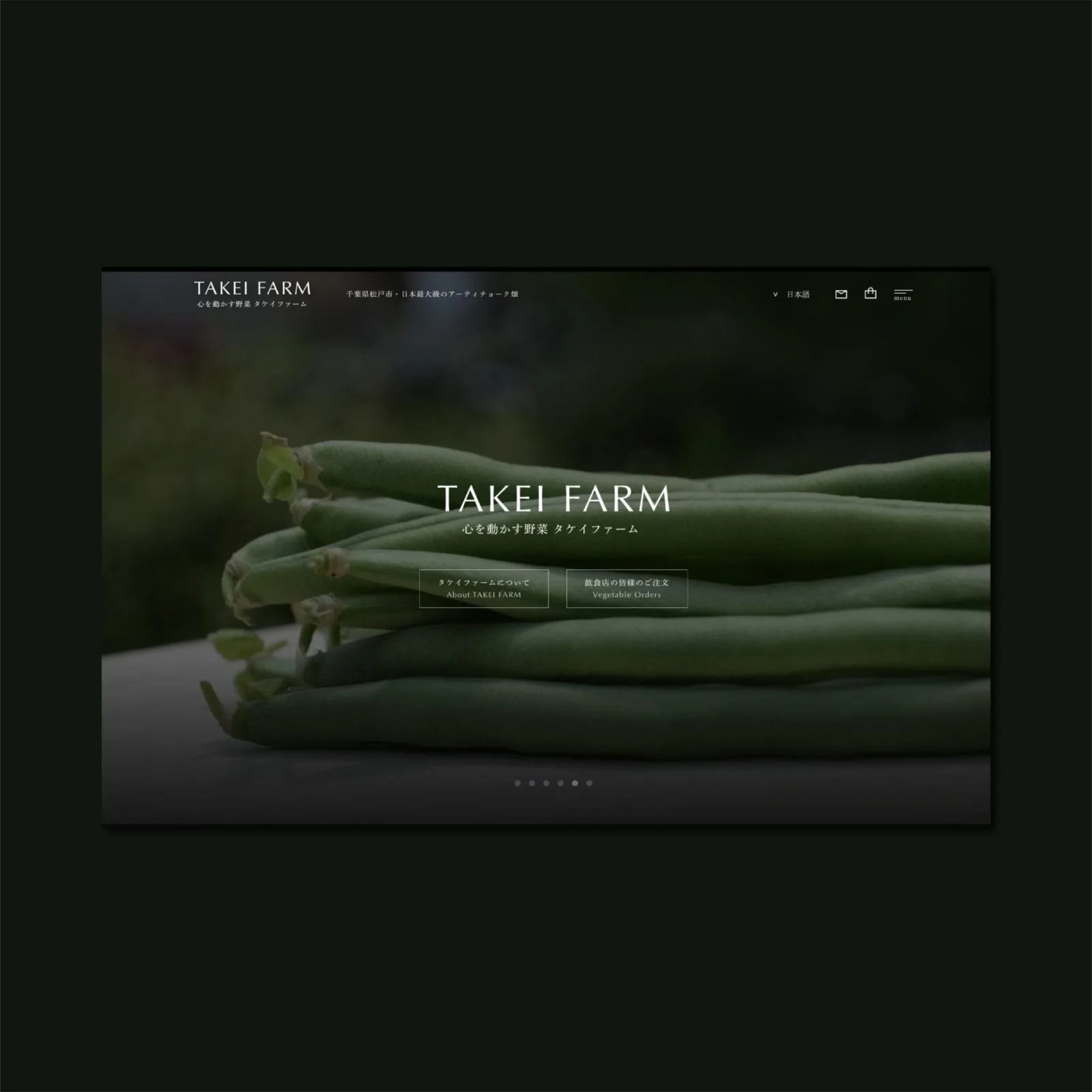 タケイファームのウェブサイト。暗い背景に山盛りの豆の写真と「TAKEI FARM」のロゴ